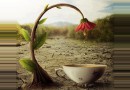 طرقت باب الخلق “شعر”…لمياء الشاذلى