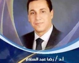 محافظ الشرقية