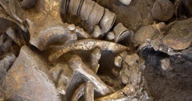 اكتشاف هيكل عظمي لحيوان الماموث يرجع لـ 45 ألف سنة