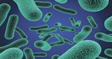 كتيريا وميكروبات تعيش في جسم الفرد