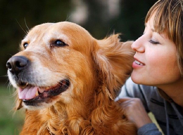 دراسة: الكلاب قادرة على استشعار أحاسيس الإنسان