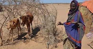 أثيوبيا بعد الجفاف تحتاج إلى مساعدات لشراء البذور قبل سقوط المطر