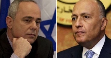 وزير الخارجية المصري يلتقي بوزير إسرائيلي في اواشنطن