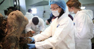 العثور على رفات جرو كلب عاش في سيبيريا منذ 12 ألف عام