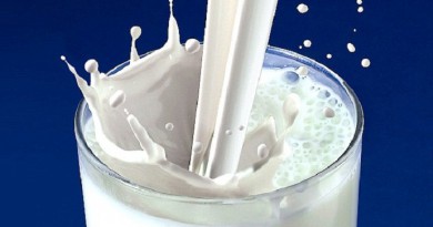 الحليب كامل الدسم يقي من السكري