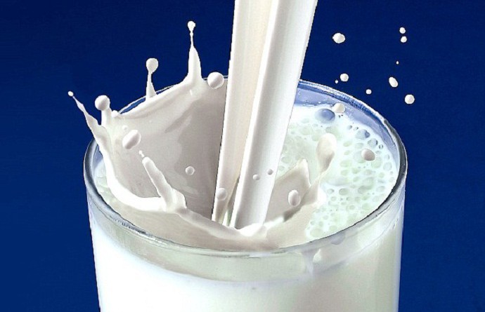 الحليب كامل الدسم يقي من السكري