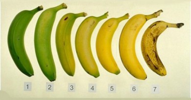 لون الموز الخارجى يحدد فوائده الداخلية.. اكتشفها!