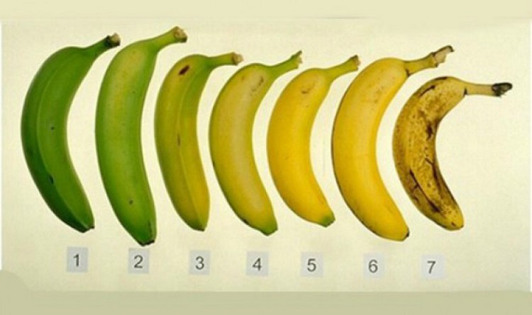 لون الموز الخارجى يحدد فوائده الداخلية.. اكتشفها!