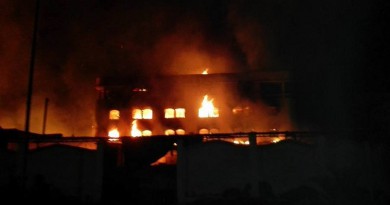 حريق هائل باحد مصانع الأخشاب بالمنطقة الصناعية بدمياط