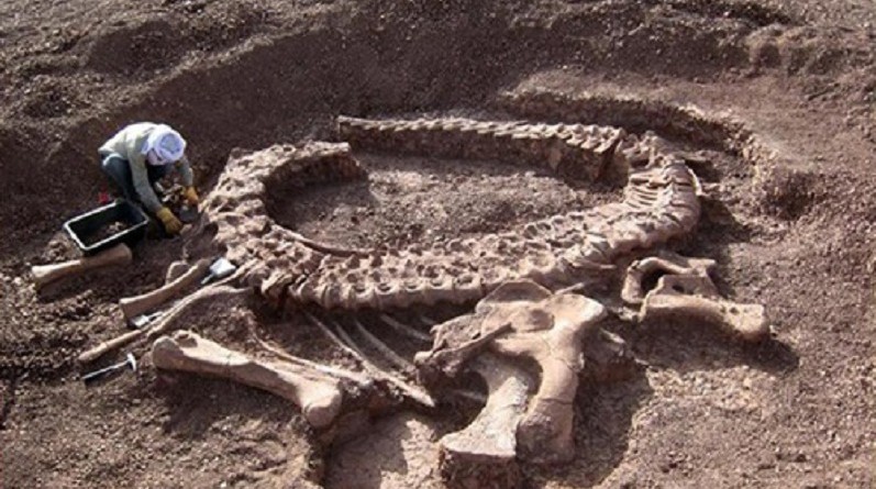 علماء يكتشفون حفرية جديدة لديناصور في الأرجنتين