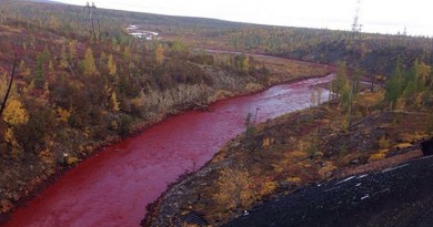 بالصور: نهر روسي يتلون بلون "الدماء" بشكل عجيب