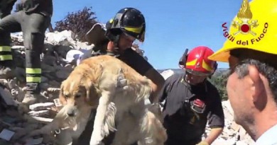 بالفيديو: بعد مرور 10 أيام على زلزال إيطاليا.. إنقاذ كلب