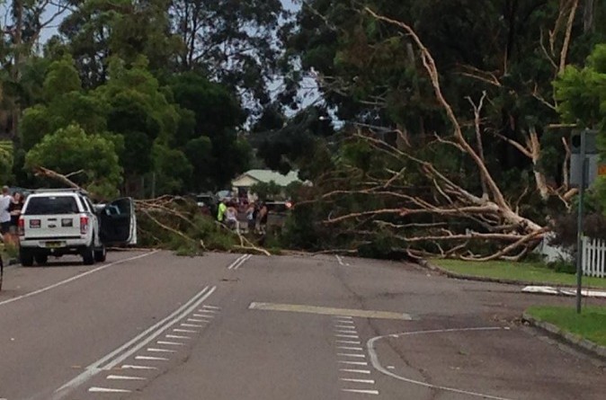 عاصفة تقتل امرأة وتقطع الكهرباء عن آلاف المنازل في أستراليا