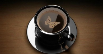 عصام شلتوت : الزمالك هيشرب صن داونز "قهوة سادة"
