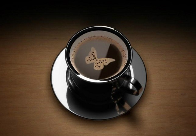 عصام شلتوت : الزمالك هيشرب صن داونز "قهوة سادة"
