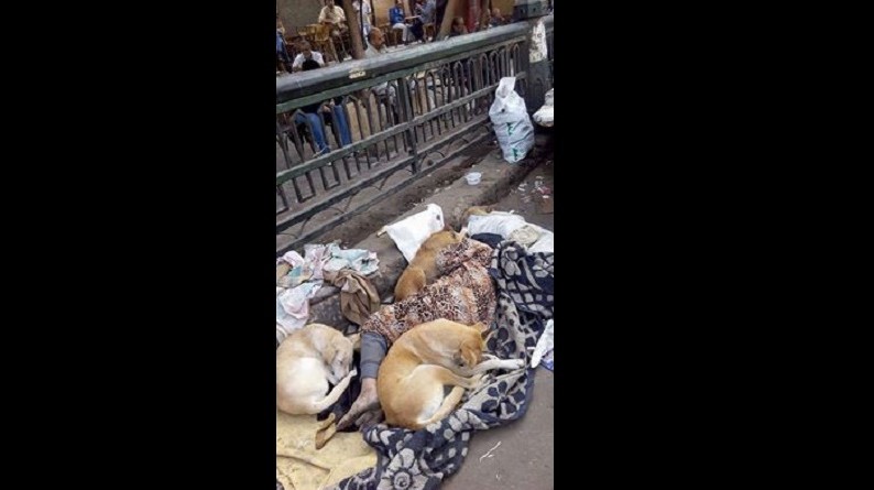 أكتئب أنت في مصر حيث ينام المتسول مع الكلاب ” صور لا تحتاج إلى تعليق”