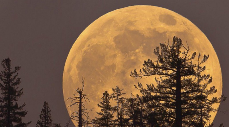 شاهد ظهور القمر العملاق فجر 14 نوفمبر حول العالم