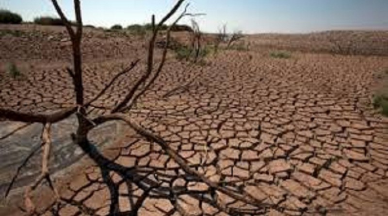 الأمم المتحدة: العجز بميزانية الإغاثة من الجفاف في زيمبابوي 140 مليون دولار