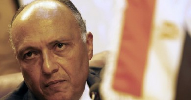 الخارجية المصرية ترد على بيان دول الخليج