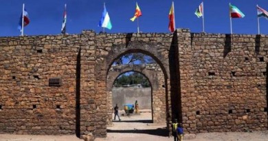 هرر الإثيوبية.. تحتضن المآذن وعلى أبوابها الضباع