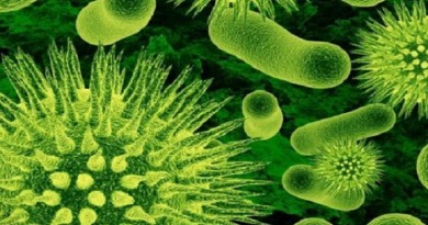 أطباء يكتشفون باكتيريا تقضي على العدوى