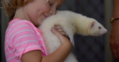 علماء: أفضل أصدقاء للأطفال هي الحيوانات