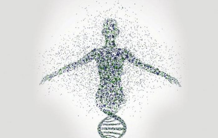 الطريق الى تحسين صحة الإنسان بواسطة الجينات؟