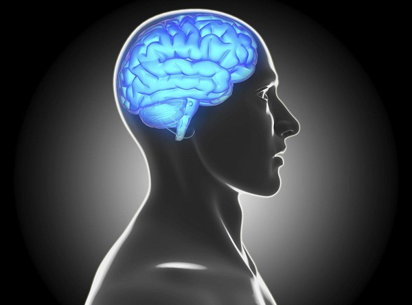 دراسة جديدة: دماغ الإنسان تستمر بالعمل 10 دقائق بعد وفاة الجسد