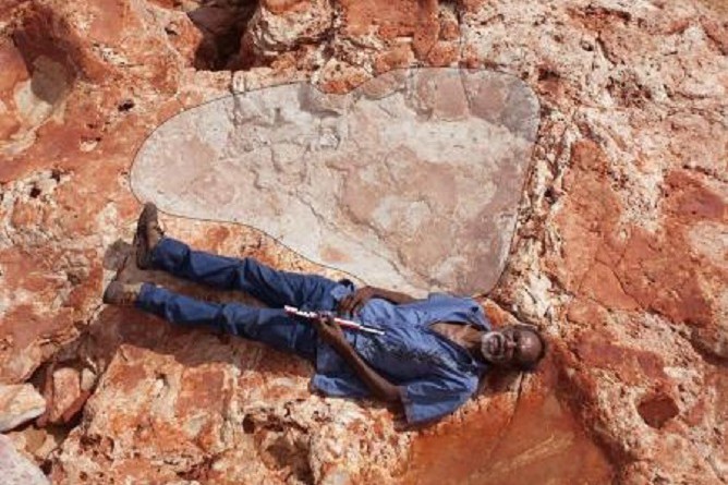 العثور على أكبر أثر لقدم ديناصور في العالم بأستراليا