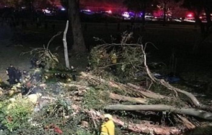 مقتل 18 شخصًا إثر سقوط شجرة بجنوب غانا
