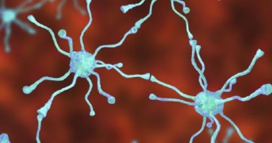 تخليق خلايا في المخ "قد يساعد في علاج" الشلل الرعاش