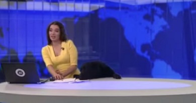 كلب يقتحم نشرة الأخبار ويفاجئ مذيعة روسية