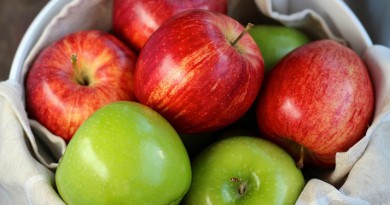 ما السرّ وراء أن يكون التفاح فاكهة جميع الفصول؟