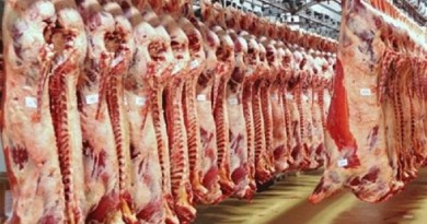 الولايات المتحدة توقف استيراد لحم البقر البرازيلي