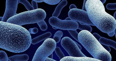 اكتشاف مضاد حيوي فعال في مكافحة البكتيريا المقاومة