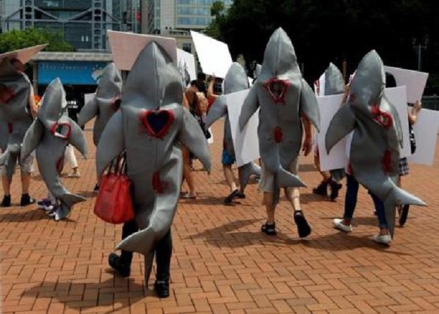 محتجون يحثون مطعما في هونج كونج على الكف عن بيع زعانف أسماك القرش