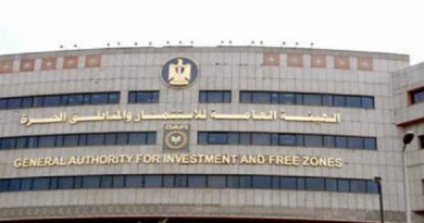 مصر.. ارتفاع نسبة الاستثمار الأجنبي المباشر