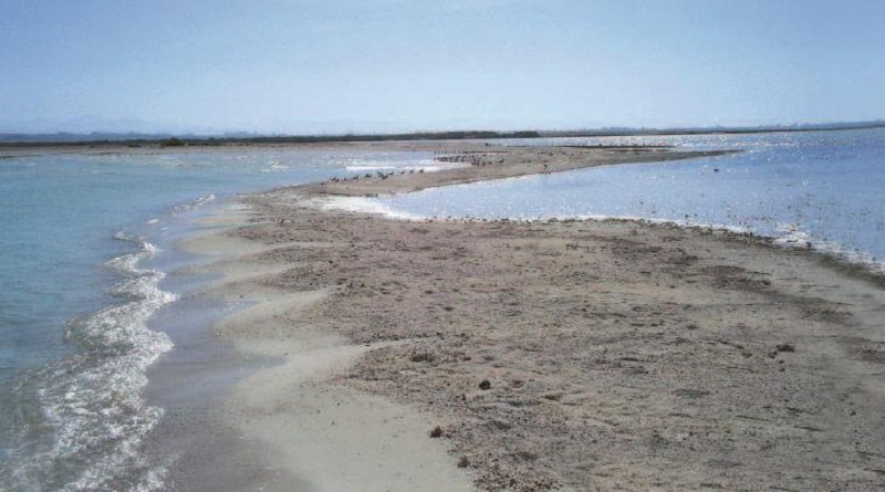 جزيرة أبو منقار