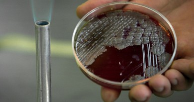 العثور على بكتيريا عمرها أكثر من 3 ملايين عام