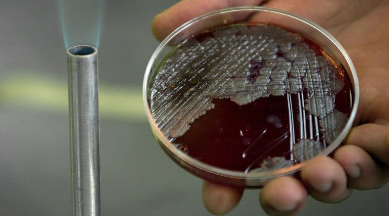 العثور على بكتيريا عمرها أكثر من 3 ملايين عام