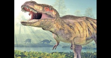 ديناصور يغطيه الريش وفي حجم حيوان الراكون يدهش العلماء