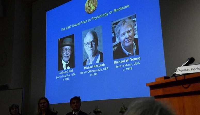 فوز ثلاثة علماء أمريكيين بجائزة نوبل للطب لعام 2017
