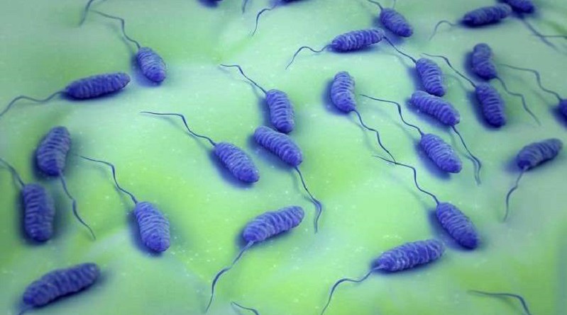 العلماء يكتشفون موطن وباء الكوليرا