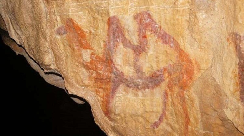 "جمل ذو سنامين" يكشف الكثير عن رسامي العصر الحجري