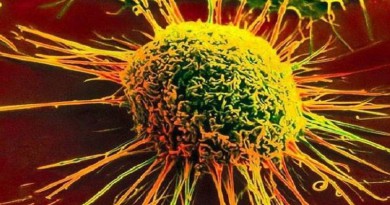 كيف تتنصر الخلايا السرطانية في معركة البقاء؟