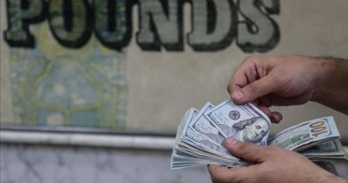 تحويلات المصريين في الخارج ترتفع 28 بالمائة في 5 شهور