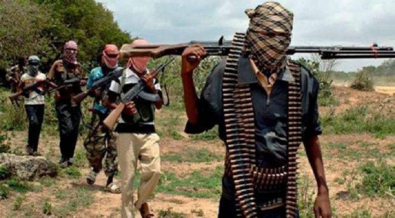 25 قتيلاً باعتداء لـ «بوكو حرام» في نيجيريا