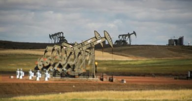 وكالة: زيادة الإنتاج الأمريكي تحول دون ارتفاع أسعار النفط