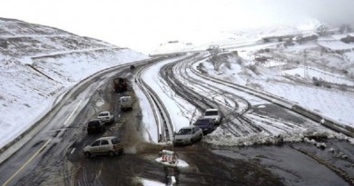 طوفان الربيع يقتلع الأشجار بالجزائر