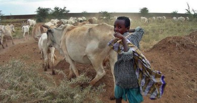 مصر توقع صفقة كبرى لإستيراد اللحوم الإثيوبية